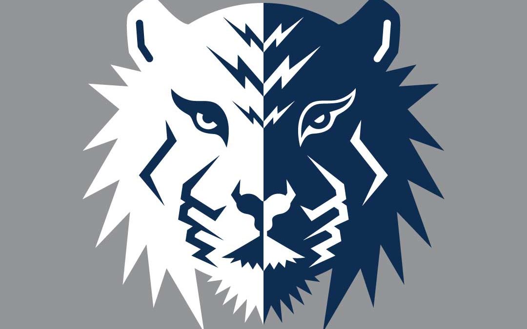 Tiger Accounting & Bookkeeping Services Faceoff White + Navy + Grey Logo