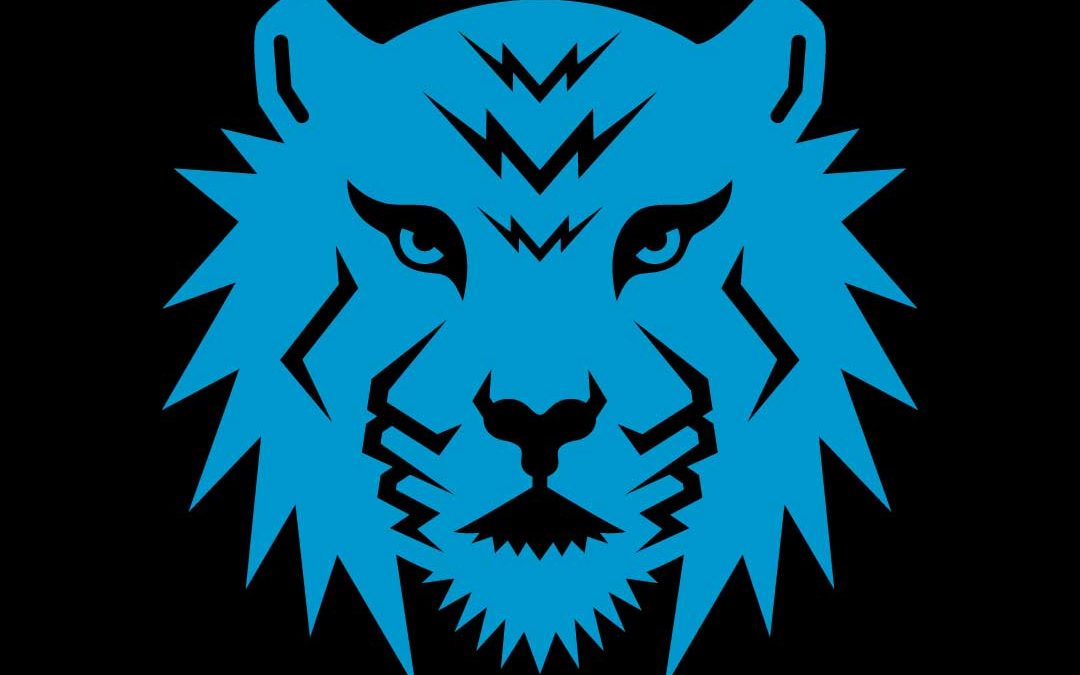 Tiger Accounting & Bookkeeping Services Logo Black + Light Blue